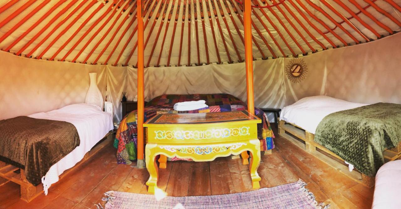 Hombleux Les Colombines Bed & Breakfast エクステリア 写真